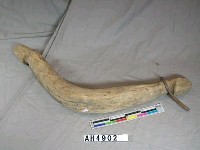 藏品(牛擔)的圖片